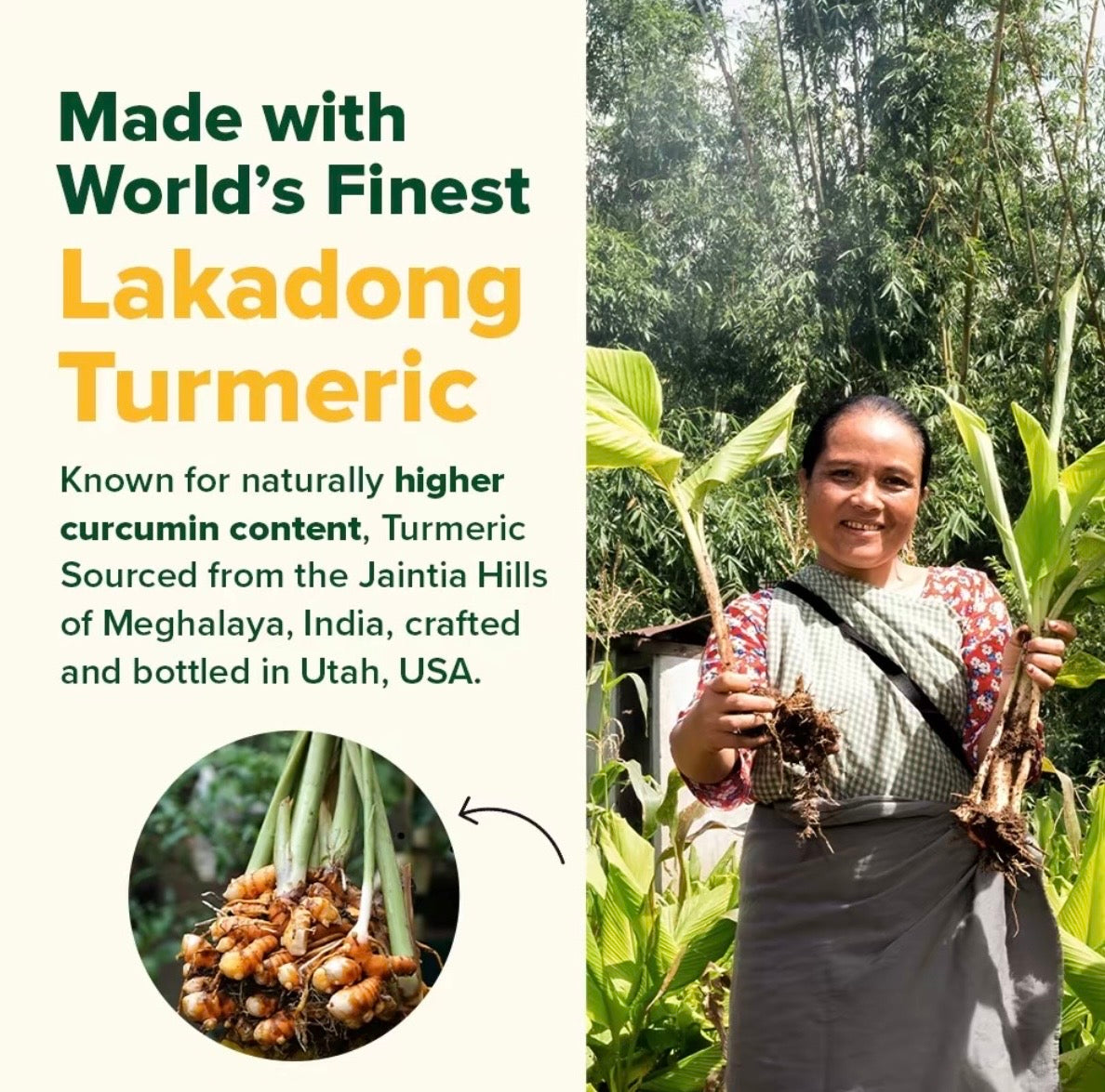 VAHDAM Turmeric Curcumin